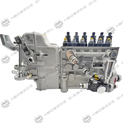 Ενσωματωμένη αντλία έγχυσης καυσίμου BHT6P120R (OEM: 20194A / 1000943153)|Τροφοδοσία Diesel Ακριβείας για Συστήματα Common Rail Υψηλής-Πίεσης